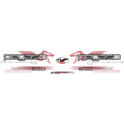 copy of Kit pegatinas RSV1000 2007 -