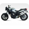 Kit de pegatinas universales para BMW F800R 2009-2011