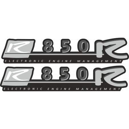 Kit de pegatinas universales para BMW R850R 1998-2001