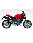 Kit de pegatinas para ducati monster 1100
