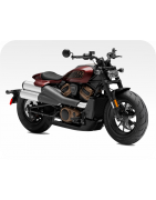 Pegatinas Harley