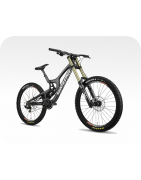 Pegatinas bici MTB